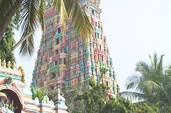 Punnai Nallur Mariamman Temple